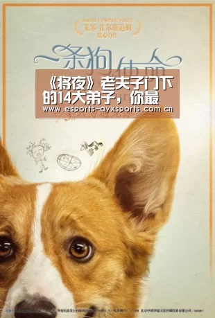 爱游戏app