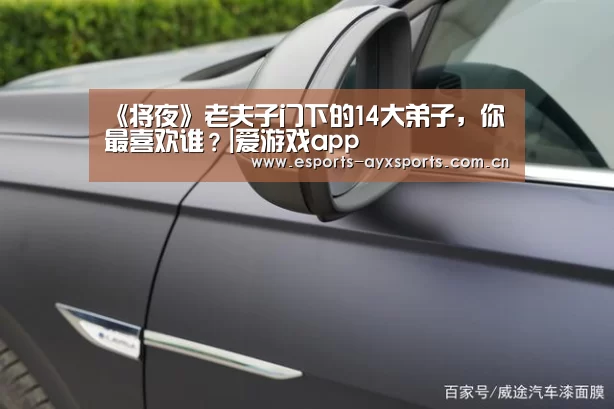 爱游戏棋牌