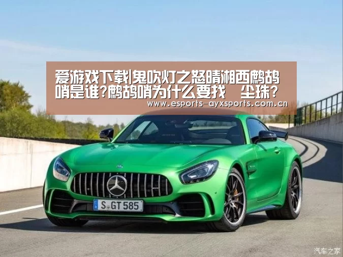 爱游戏下载|鬼吹灯之怒晴湘西鹧鸪哨是谁?鹧鸪哨为什么要找雮尘