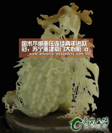 国米不惧重压连续两年进欧冠，苏宁重建豪门大心脏_ayx