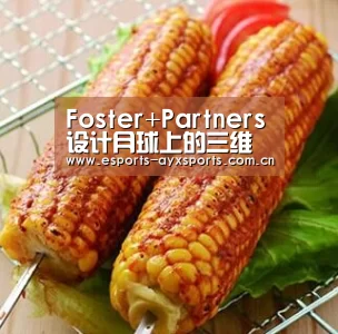 Foster+Partners设计月球上的三维打印建筑物“爱游戏棋牌”(图3)