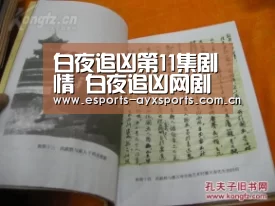 白夜追凶第11集剧情 白夜追凶网剧剧情-爱游戏棋牌