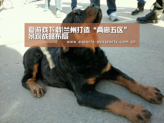 爱游戏下载|兰州打造“两廊五区”景观战略布局
