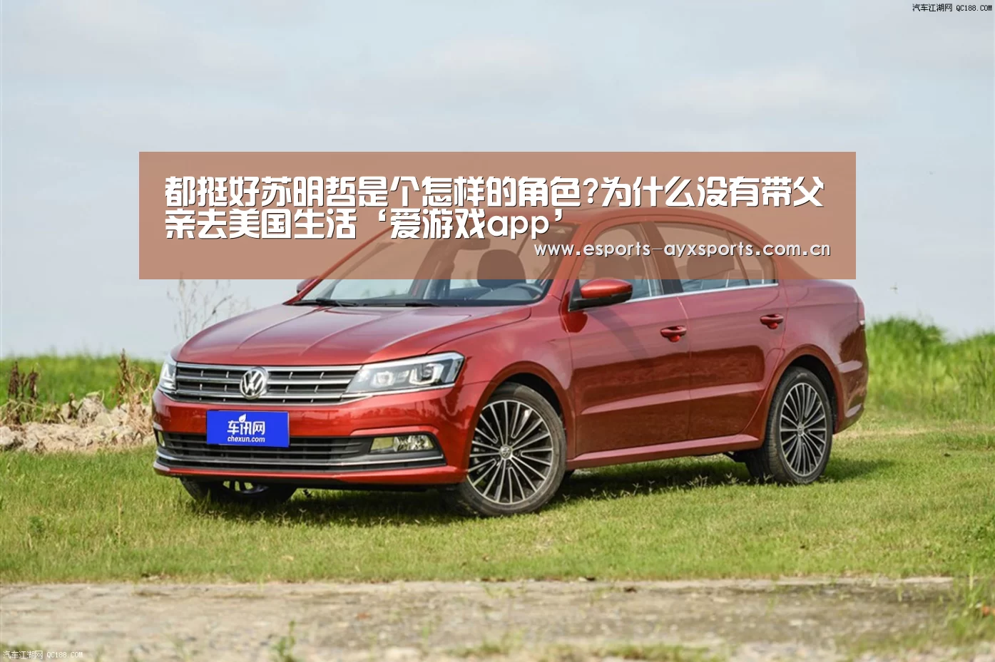 都挺好苏明哲是个怎样的角色?为什么没有带父亲去美国生活‘爱游
