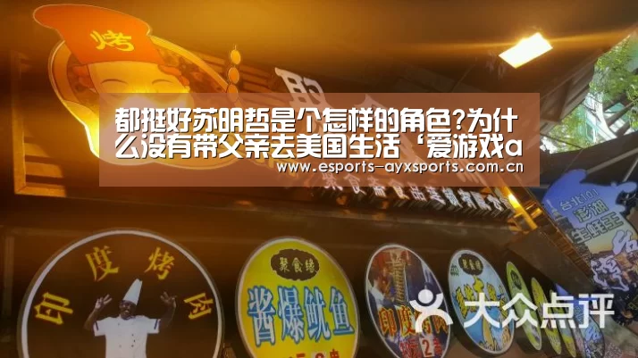 都挺好苏明哲是个怎样的角色?为什么没有带父亲去美国生活‘爱游戏app’(图3)