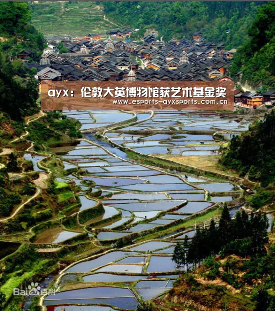 ayx：伦敦大英博物馆获艺术基金奖