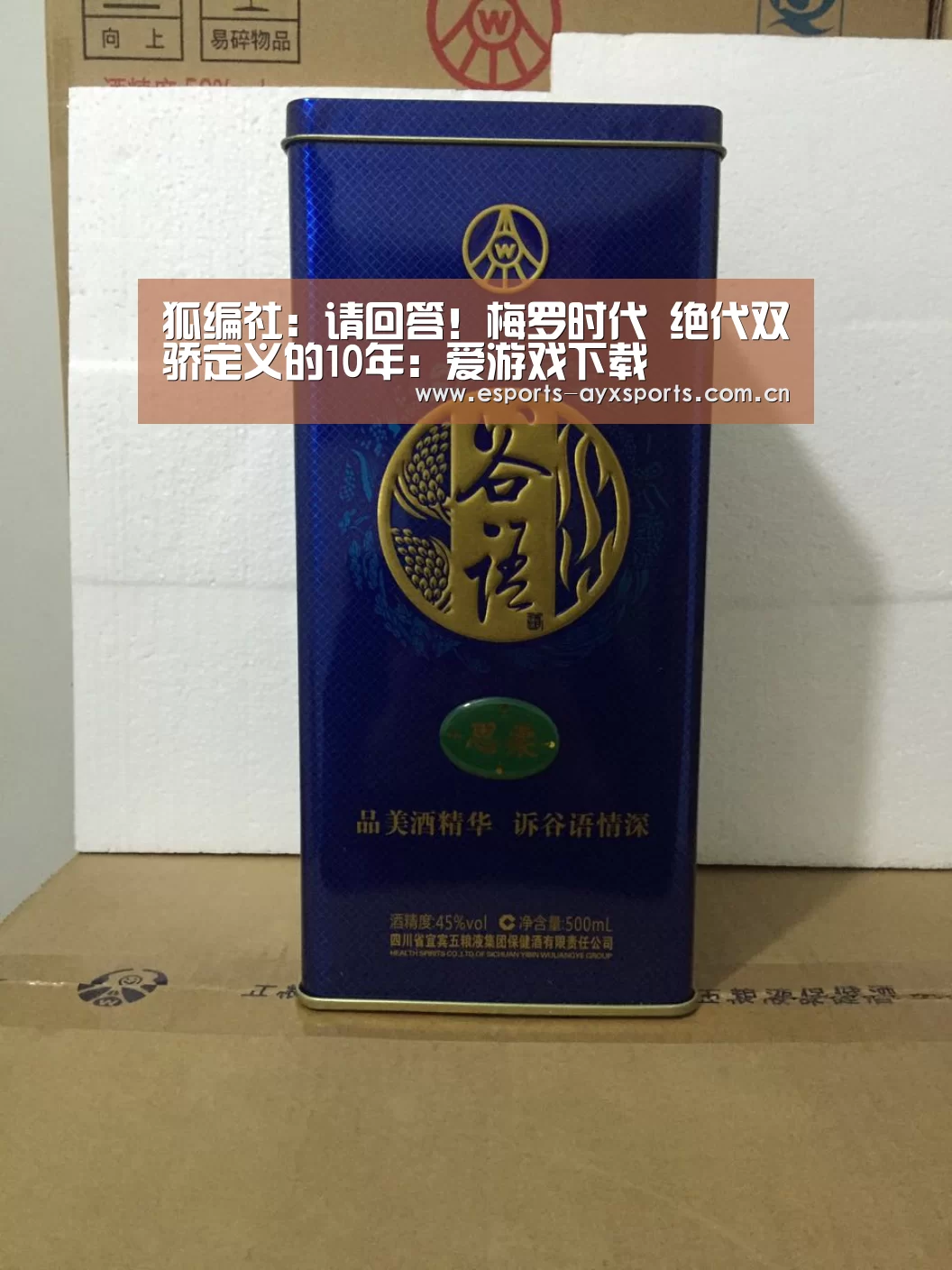 狐编社：请回答！梅罗时代 绝代双骄定义的10年：爱游戏下载