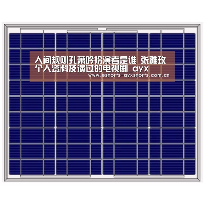 人间规则孔萧吟扮演者是谁 张雅玫个人资料